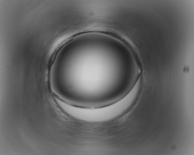 X0000112051461200908041139