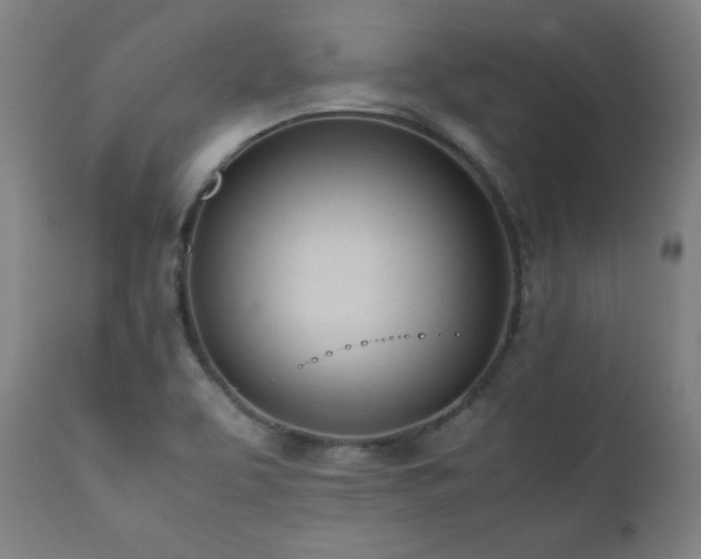 X0000112051463200908041139