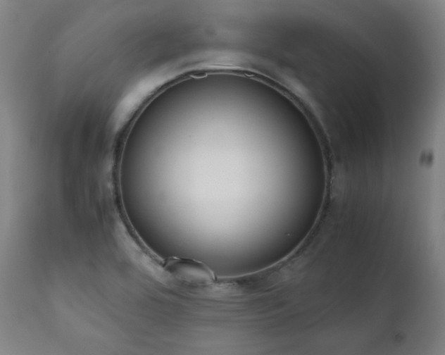 X0000112051464200908041139