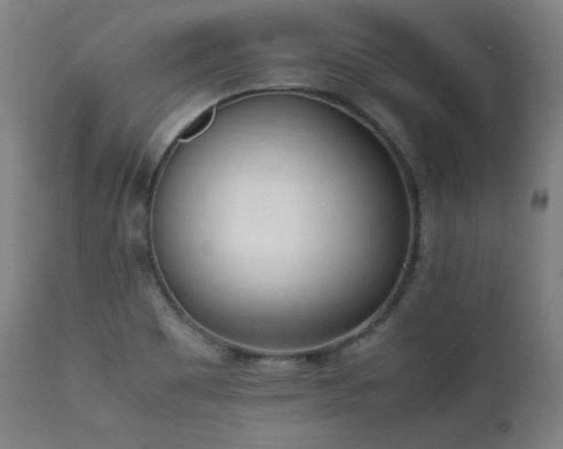 X0000112051465200908041139