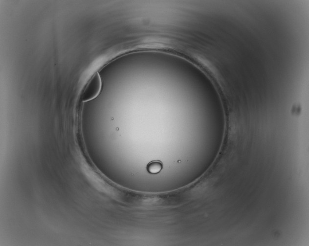X0000112051467200908041139