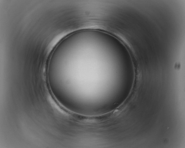 X0000112051468200908041139