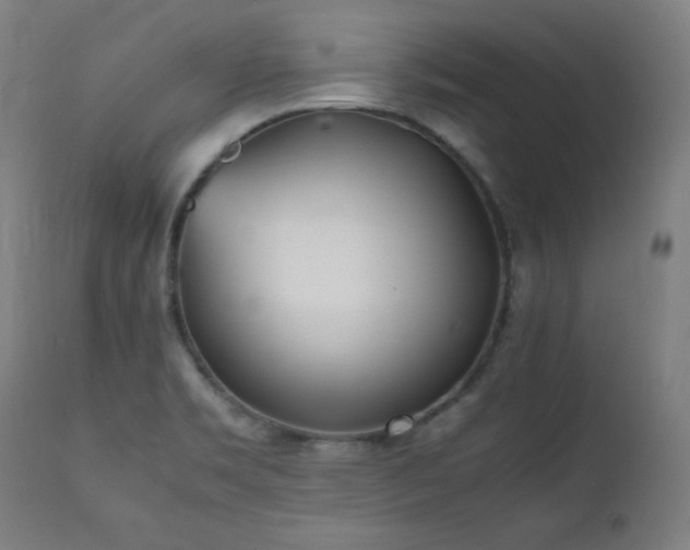 X0000112051469200908041139