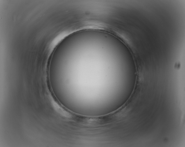 X0000112051471200908041139