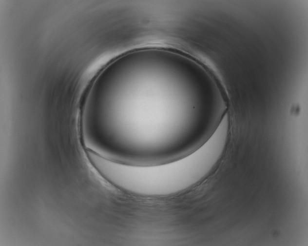 X0000112051472200908041139