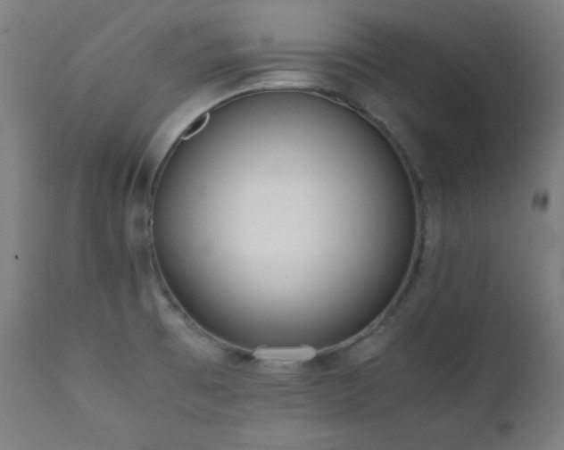 X0000112051473200908041139