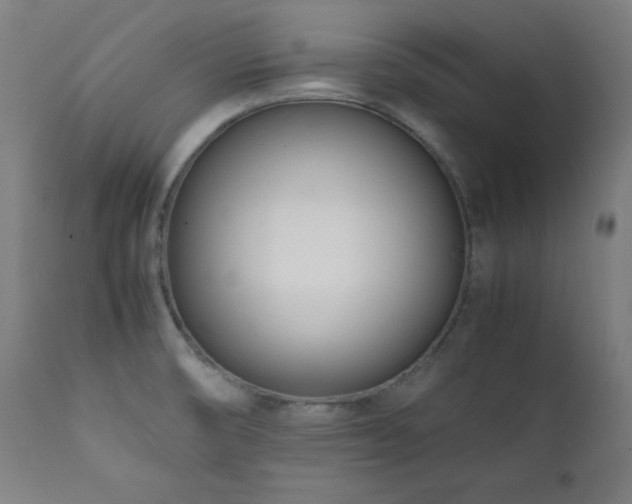 X0000112051474200908041139