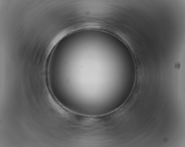 X0000112051475200908041139