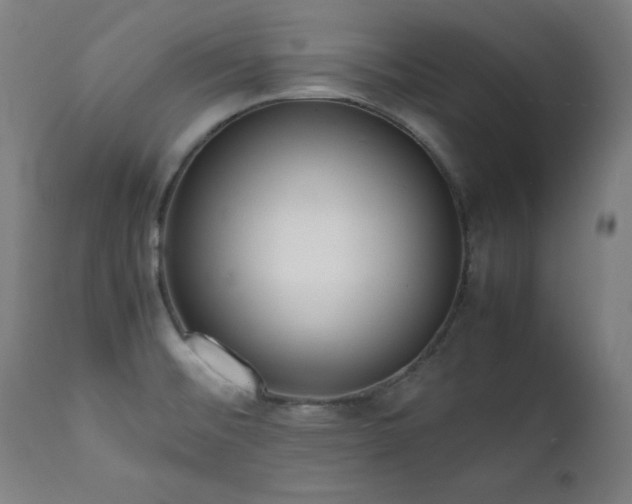 X0000112051476200908041139