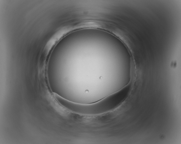 X0000112051477200908041139