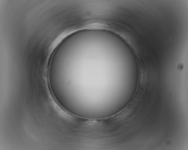 X0000112051478200908041139