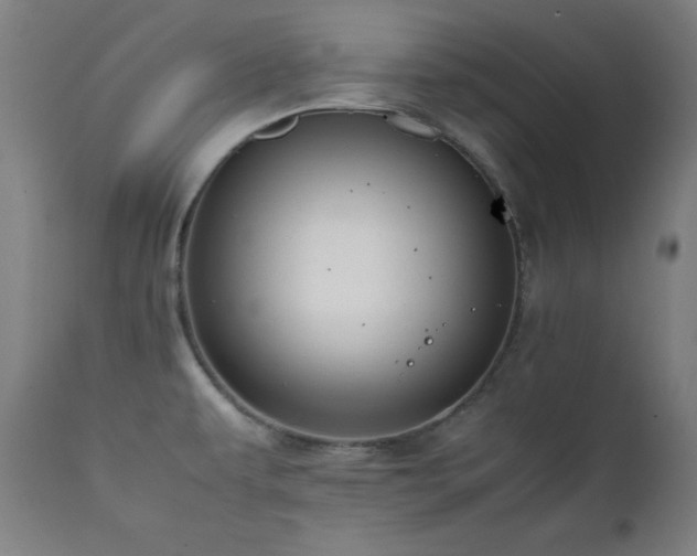 X0000112051479200908041139
