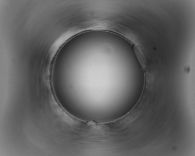 X0000112051480200908041139
