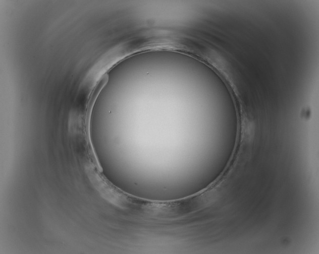 X0000112051481200908041139