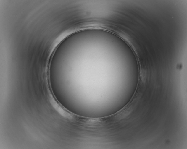 X0000112051482200908041139
