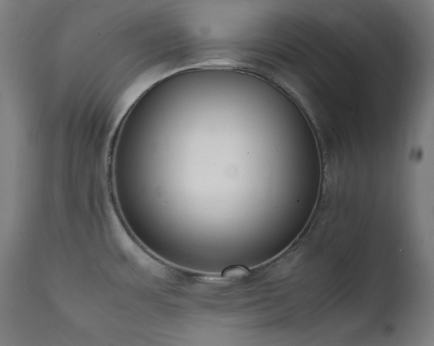 X0000112051483200908041138