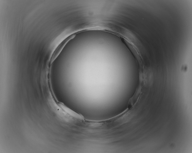 X0000112051484200908041138