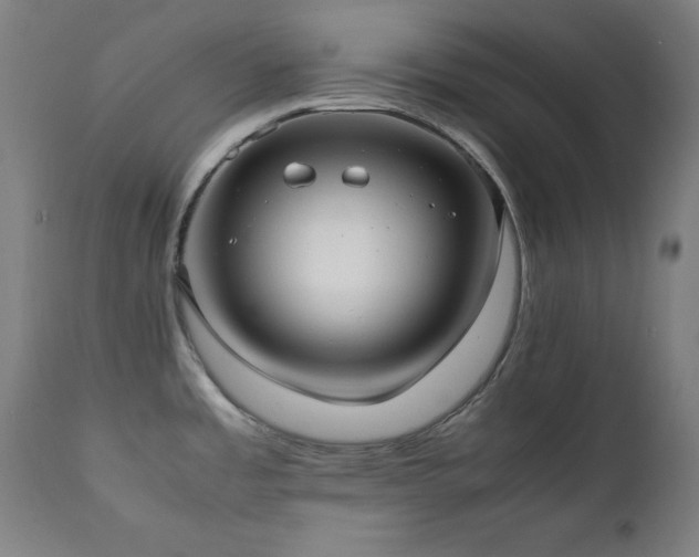 X0000112051485200908041138
