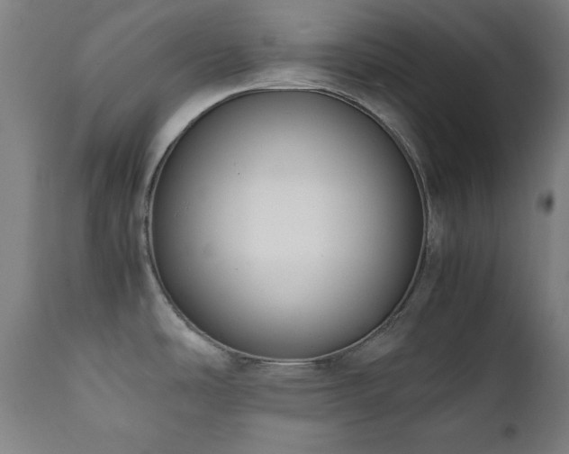 X0000112051486200908041138