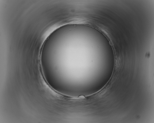 X0000112051487200908041138