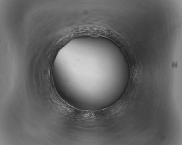 X0000112051489200908041138