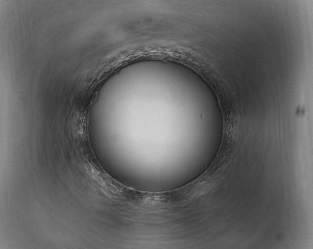 X0000112051490200908041138
