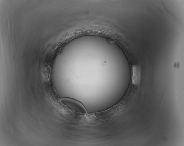 X0000112051491200908041138
