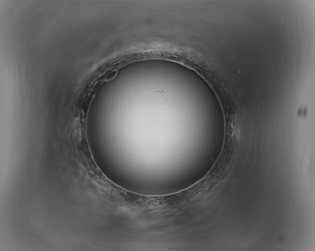 X0000112051493200908041138
