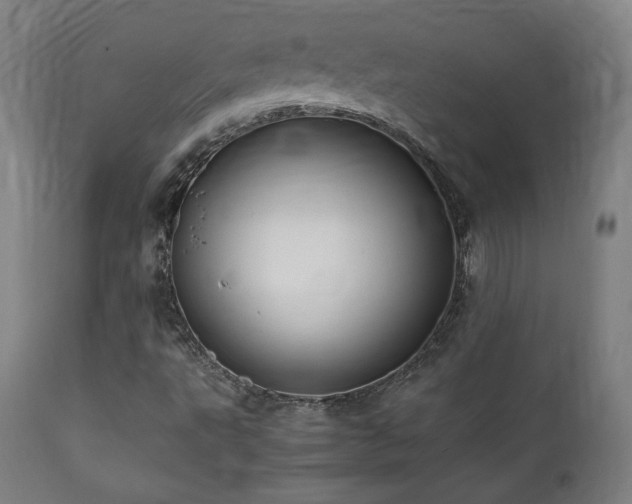 X0000112051495200908041138