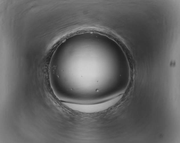 X0000112051496200908041138