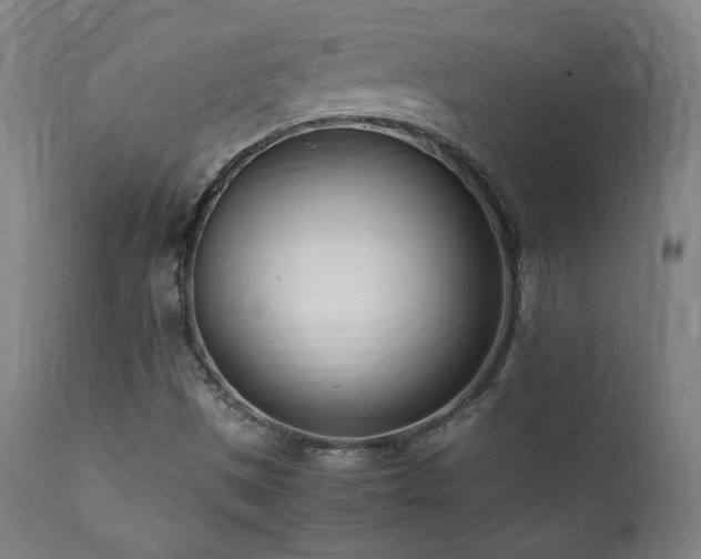X0000112051497200908041138