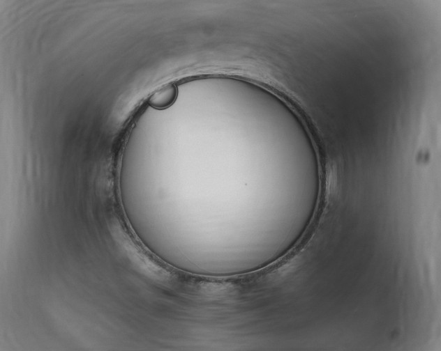 X0000112051498200908041138