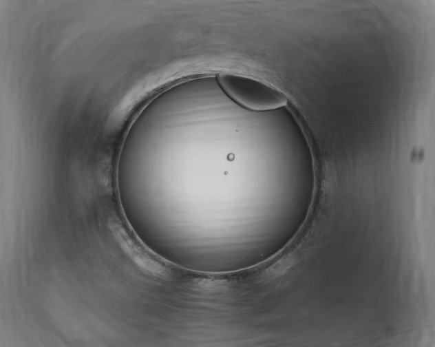 X0000112051499200908041138