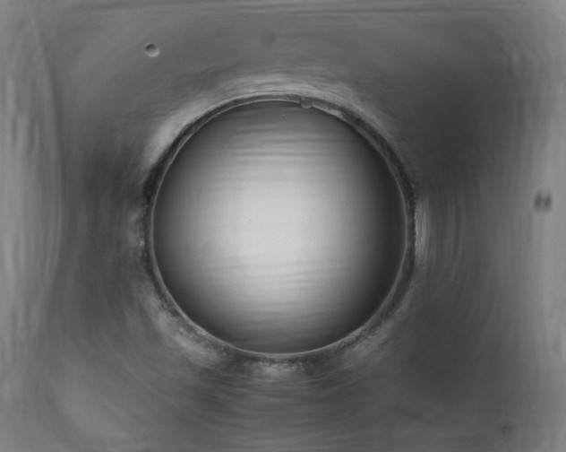 X0000112051501200908041138