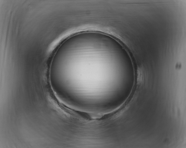 X0000112051502200908041138