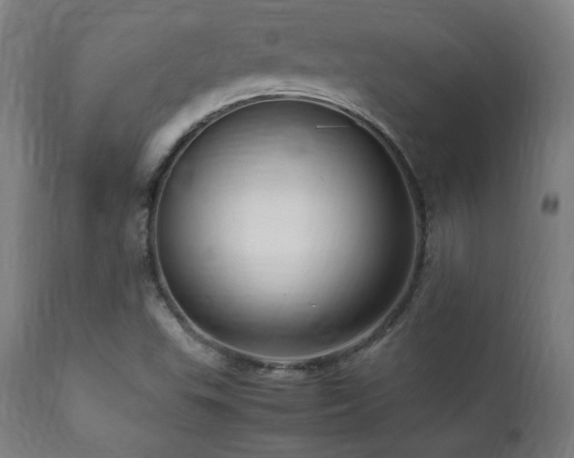 X0000112051503200908041138