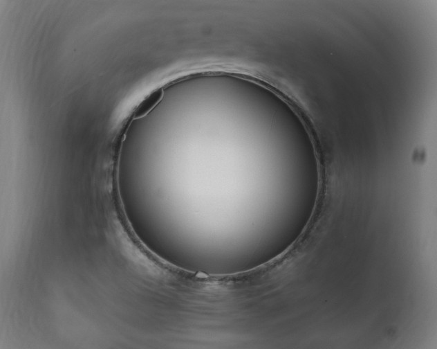 X0000112051504200908041138