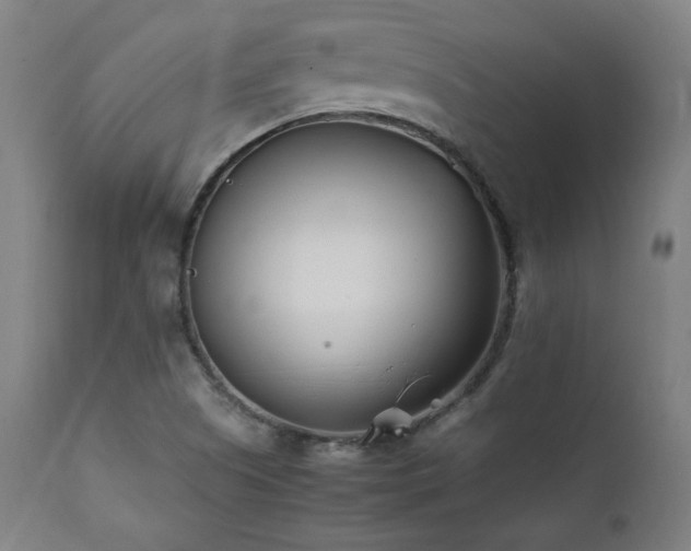 X0000112051505200908041138