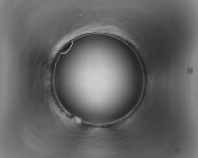 X0000112051506200908041138