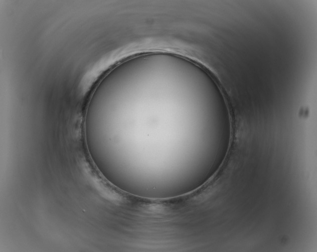 X0000112051507200908041138