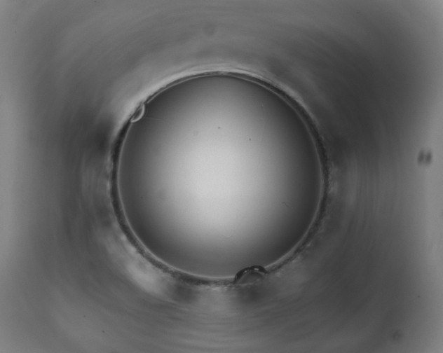 X0000112051508200908041138