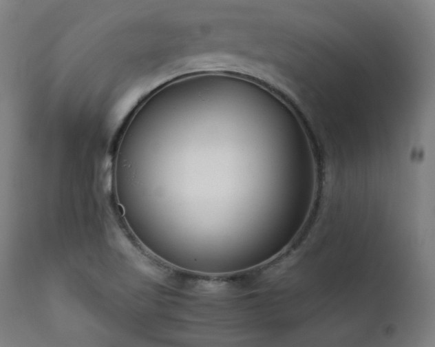 X0000112051509200908041138