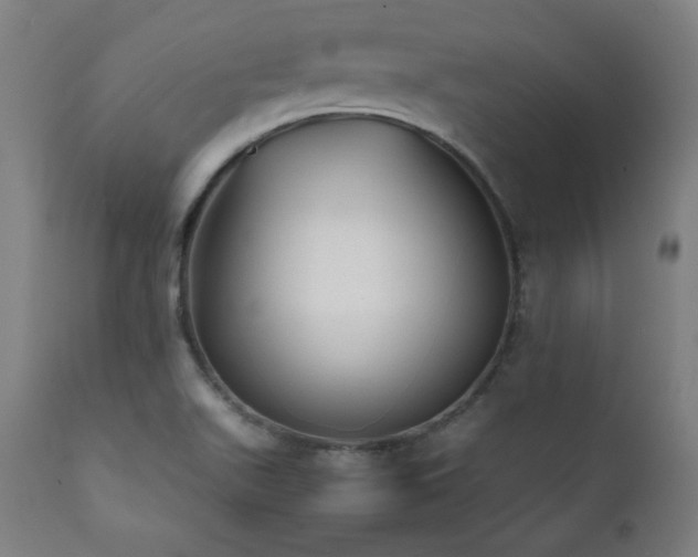 X0000112051511200908041138