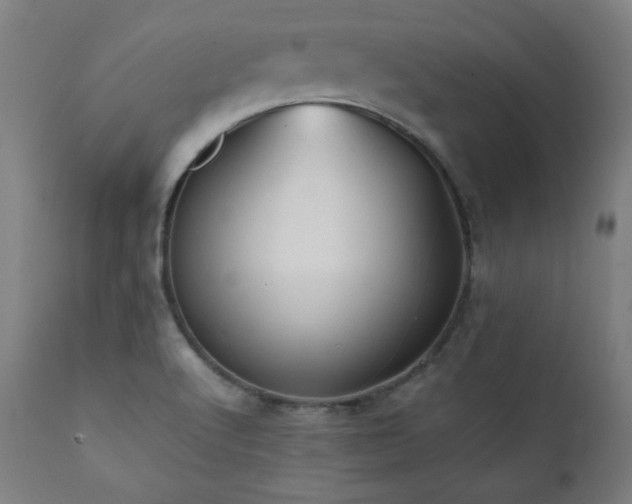 X0000112051512200908041138