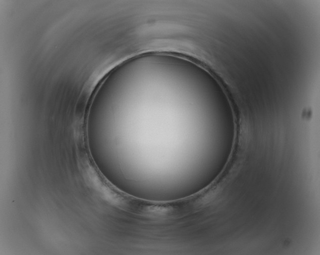 X0000112051513200908041138