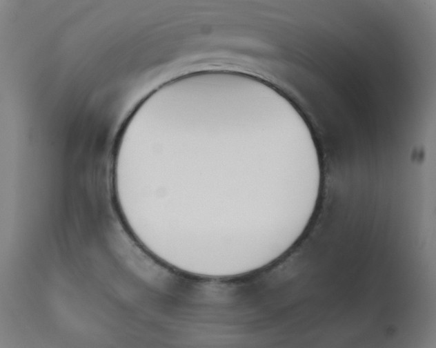 X0000112051514200908041138