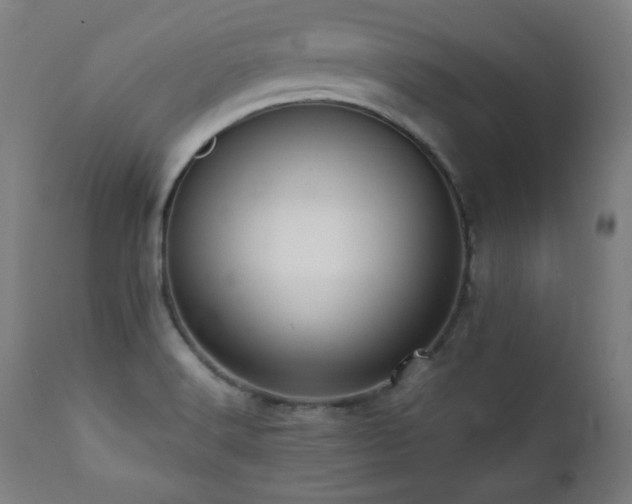 X0000112051516200908041138