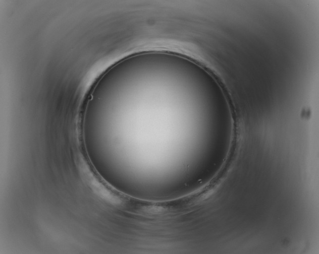 X0000112051517200908041138