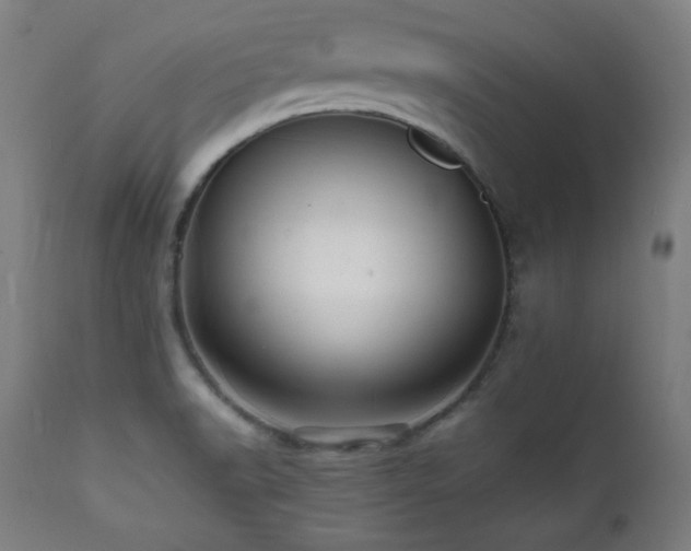 X0000112051518200908041138