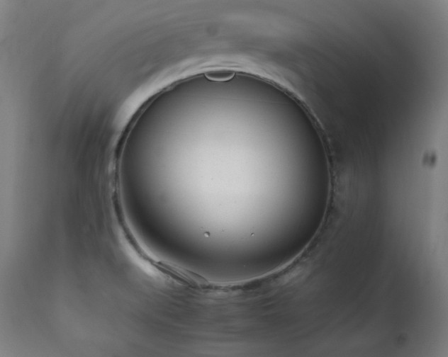 X0000112051519200908041138